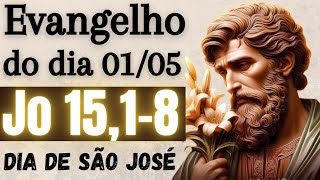 Evangelho do dia com reflexão, Quarta-feira 01/05, Jo 15,1-8