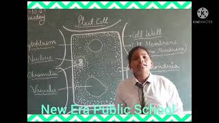 Class VIII B Topic Plant Cell by Kajal Chopra