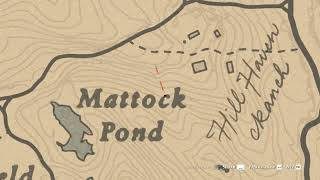 RDR2 | You Probably Walked Through the Forest and Didn't see THIS