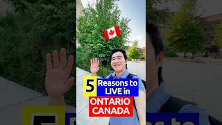 🇨🇦 5 REASONS TO LIVE IN ONTARIO CANADA | ZT CANADA