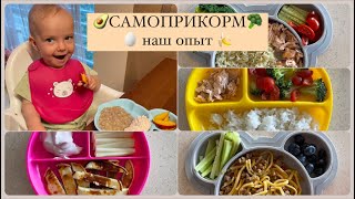 САМОПРИКОРМ наш опыт | BLW🥰🍌🥑🥦🥚🍗