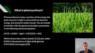 What is photosynthesis - Presentation