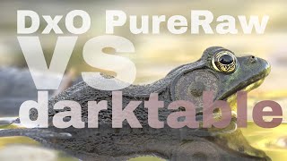 DxO PureRaw 2 vs Darktable 4.0: Is DxO worth it? Maybe