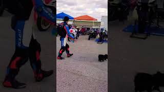 Wild Pomeranian takes over a motorcycle track day with fierce barking 😂