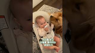 절대 영상 보면 안돼요! 심장이 녹아내려요!  #shortsfeed