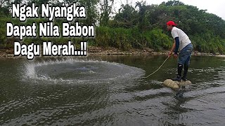 Jala Ikan Di Sungai Air Jernih Ngak Nyangka Dapat Ikan Nila Babon Babon