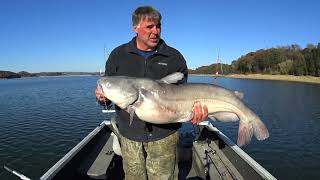 Trophy Blue Catfish The Tennessee Lake You've Never Heard Of