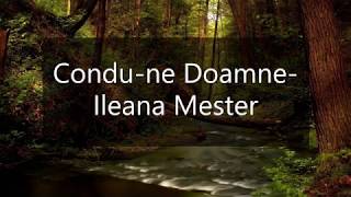 Condu ne Doamne- Ileana Mester