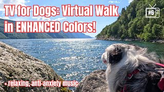 4K Dog TV: Nature Walk, Enhanced Color for Dog Vision, Anti-Anxiety RELAXING MUSIC