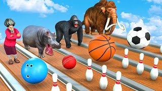 Choose The Right Ball Game With Gorilla Cow Dinosaur Hippo Mammoth Elephant Squid Game Doll