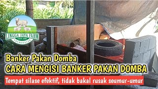 🛑 TERNAK DOMBA - CARA MENYIMPAN PAKAN DOMBA DI BANKER PAKAN