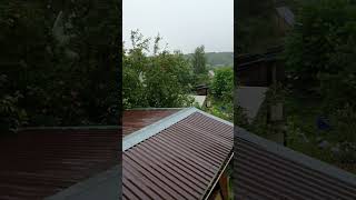 Релакс.Шум дождя летом в деревне #relax #rain