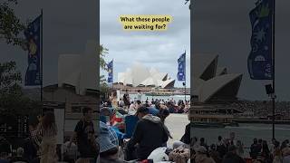 Sydney Harbour and What these people are waiting for? #newyear2024 #newyearseve #sydney