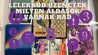 💎Lélekkód Üzenet💎Milyen Áldások Várnak Rád?✨Születési Számaid  Kódfejtő Üzenete🔮Pakliválasztós!