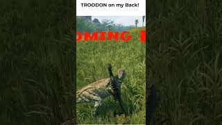 Troodon on my  back