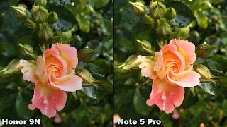 Honor 9N vs Redmi Note 5 Pro Camera Comparison