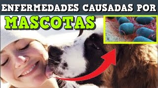 Enfermedades transmitidas al ser humano por mascotas