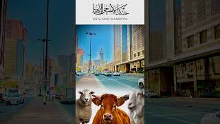 Allah Ko Ibrahim ke ai ada Pasand_har EK muslaman ko kia paband #eiduladha #bakraeid2024