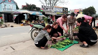 Harvest cucumbers and bring them to the market to sell, grow cassava, collect wood to build houses