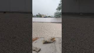 site work sayari #love #sad #shortsviral #shorts #Trending #ViralReels #viral