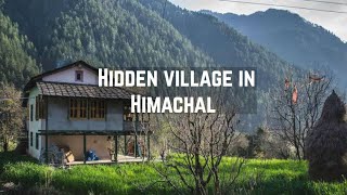 Pulga Village - The Unexplored Treasure in Kullu-Manali, Himachal Pradesh (Complete Guide)