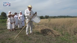 POKAZ STAROPOLSKICH ŻNIW W SANDOMIERSKIM NADBRZEZIU