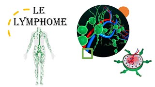 Tout SAVOIR sur le LYMPHOME - Facilement & Rapidement