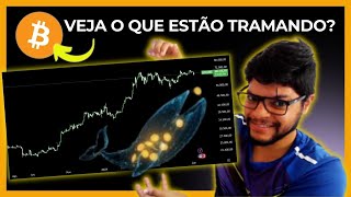 🧐O que as baleias estão tramando como preço do bitcoin? Análise gráfica do Bitcoin e criptomoedas