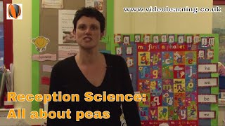 Reception Foundation Stage Science Lesson Observation: All About Peas