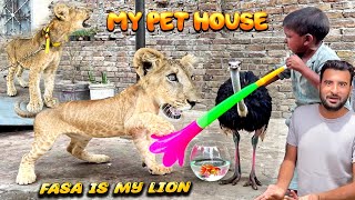 lion attack on hand yasir bhai (my pet house vlog) in hindi