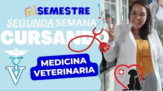 EP. 2 | CURSANDO MEDICINA VETERINARIA | 12 GATOS DEMAIS