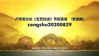 心灵法门 zongshu20200829 - 卢军宏台长《玄艺综述》节目录音  (看图腾)