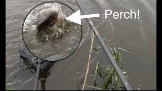 UK Canal Lure Fishing - Spinnerbait for Pike and Perch