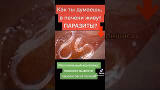 ТЫ ТОЖЕ УВЕРЕН, ЧТО ПАРАЗИТОВ НЕТ В ОРГАНИЗМЕ ЧЕЛОВЕКА? СИБИРСКОЕ ЗДОРОВЬЕ