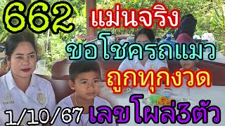 662ขอโชครคแมว"3ตัวตรง1/10/67