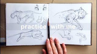 Draw With Me ✏️: Sketching from a book to improve my skills