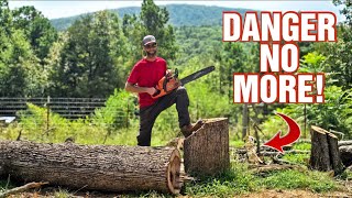 This Dangerous Job Changed Our Mountain View Forever On Our Cabin Homestead! | GOLIATH Tree Felling!