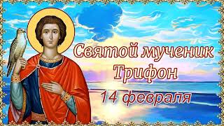 Памяти святого мученика Трифона. Именинников - с днем Ангела!