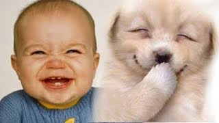 TOP  Playing Babies and Animals " TOP BEST KIDS VIDEOS "