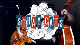 Stray Cats 40th Anniversary Tour