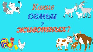 Домашние животные и их "семьи".