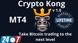 How to activate Crypto Kong Expert Advisor inside MetaTrader4 Tutorial 2023