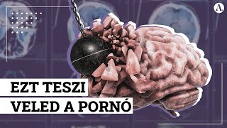 Így alakul ki a pornófüggőség