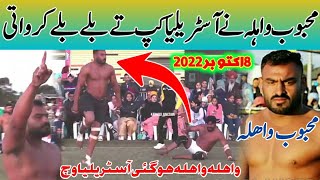 Mehboob Wahla Best Raids In Australia Kabaddi Cup 2022 ¦ Australia Kabaddi Match ¦ Kabaddi Fan 55