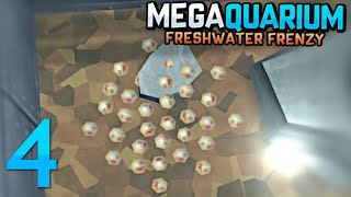 BREEDING - Megaquarium Freshwater Frenzy