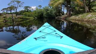 Kayaking Oak Creek in Bonita Springs FL