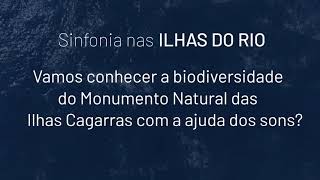 Sinfonia nas Ilhas do Rio