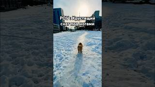 POV : Хрустящий снег под ногами #tiktok #reels #shorts