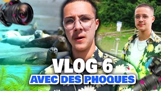 JE FILME DES PHOQUES EN LIBERTE !! 😨 / SenkVlog #6