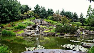 Frederik Meijer Gardens and Sculpture Park | A beautiful #Nature Center | At Grand Rapids, MI |